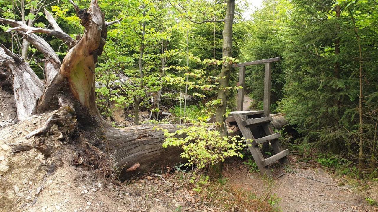 Ferienwohnung Mohnwiese Und Blumenwiese Вилинген Екстериор снимка